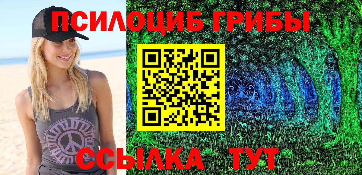 Городец  Псилоцибиновые грибы мицелий  что такое   Вход с VPN  Галлюциногенные грибы прущие грибы 